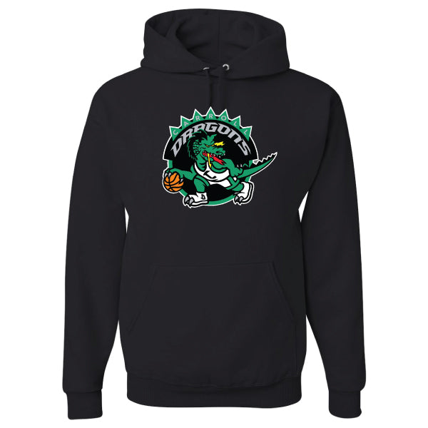 CMS Basketball "Carroll Dragons Raptor" Jerzees Pullover Hoodie